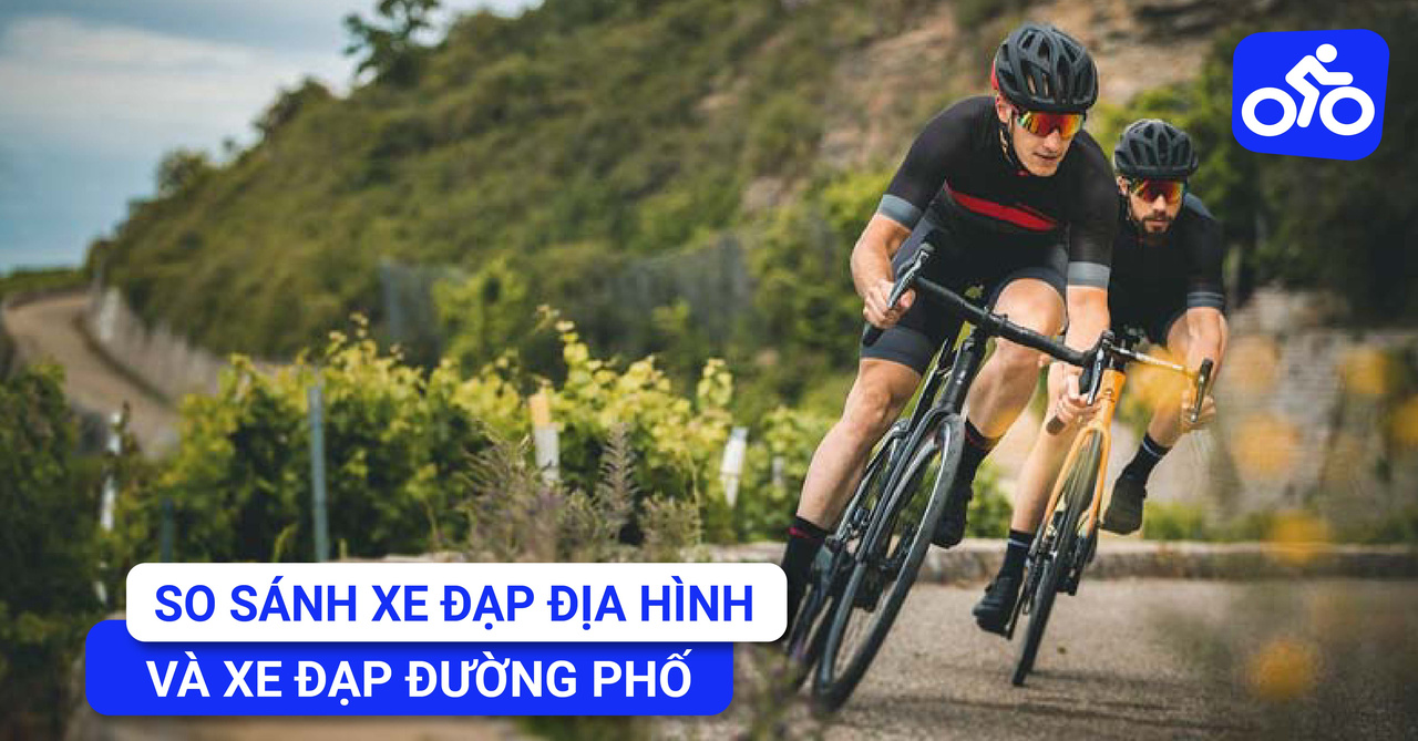 So Sánh Xe Đạp Địa Hình Và Xe Đạp Đường Phố