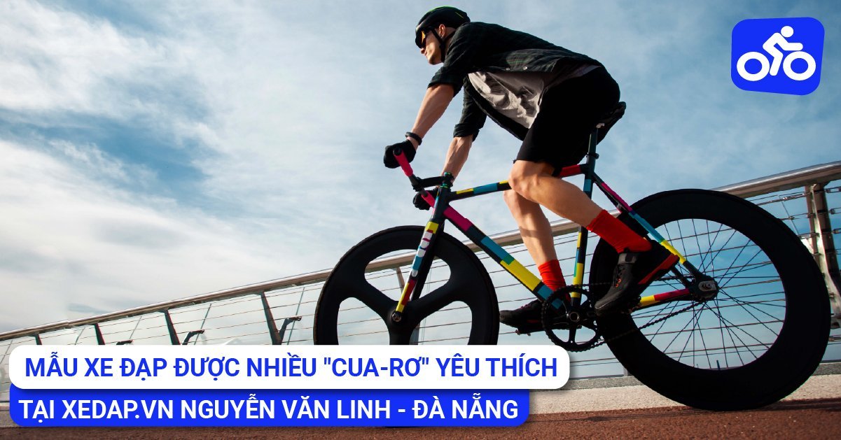 Mẫu Xe Đạp Được Nhiều “Cua-rơ” Yêu Thích Tại Xedap.vn Nguyễn Văn Linh – Đà Nẵng