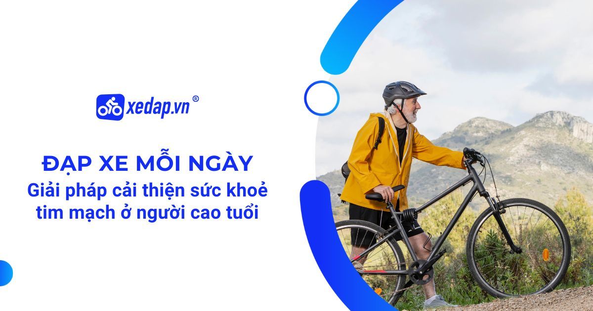 ĐẠP XE MỖI NGÀY – GIẢI PHÁP CẢI THIỆN SỨC KHOẺ TIM MẠCH Ở NGƯỜI CAO TUỔI